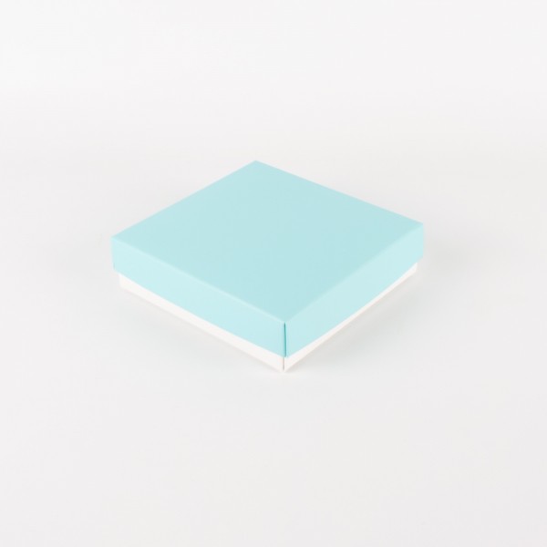 CLASSIC ELEGANT light blue matt