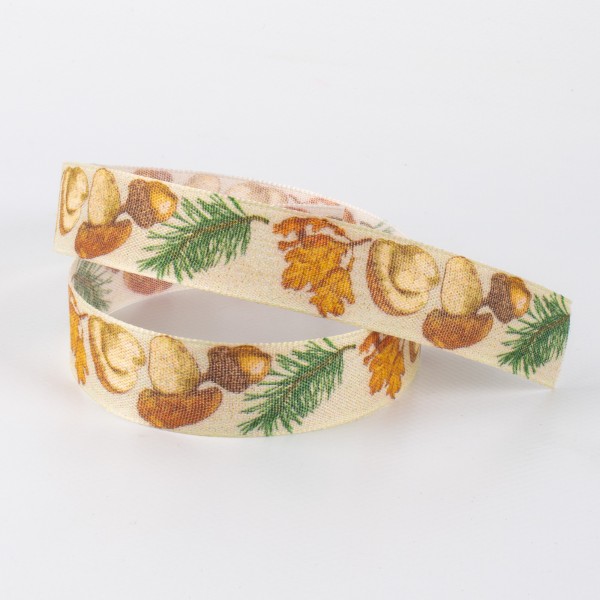 STEINPILZ 25, ribbon