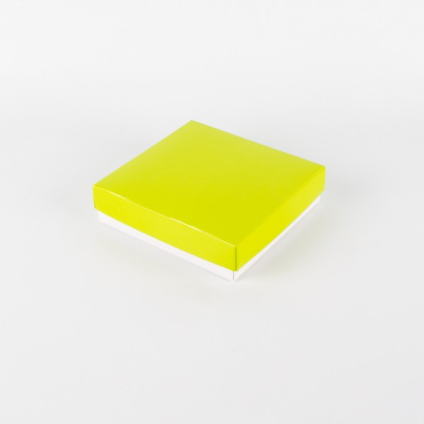 CLASSIC ELEGANT light green glossy