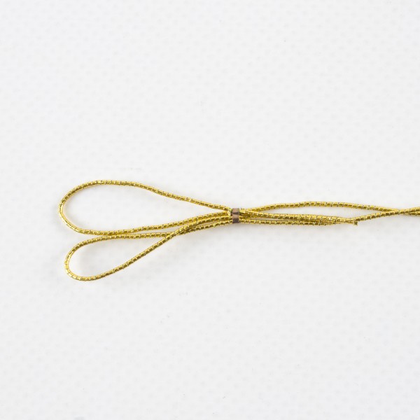 ELDA elastic loop
