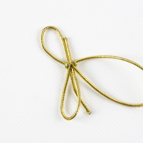 ELSA elastic loop