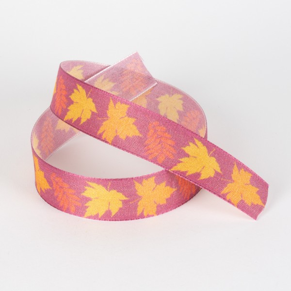 HERBSTMAGIE 25, Band