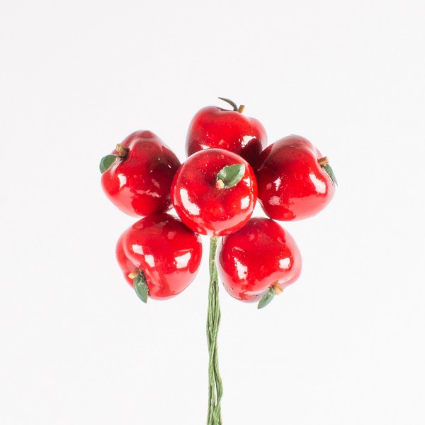 Apfel 24mm am Draht, 6 Stück/Bund