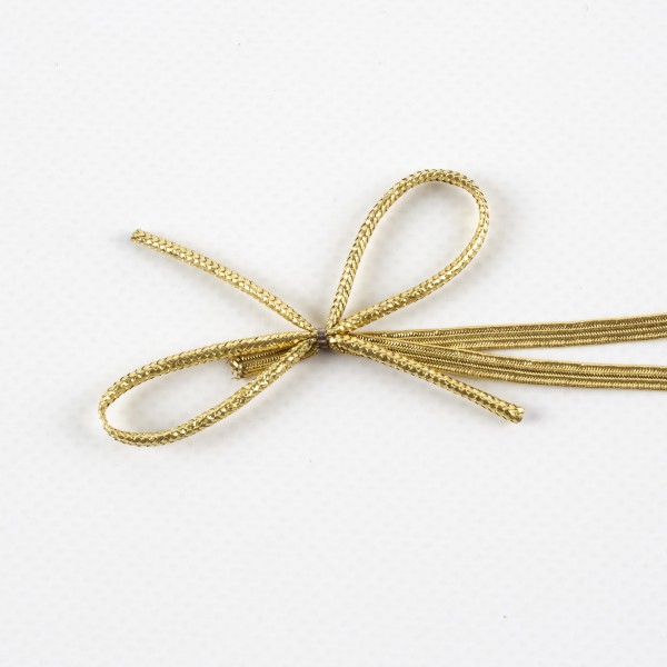 ELENA elastic loop