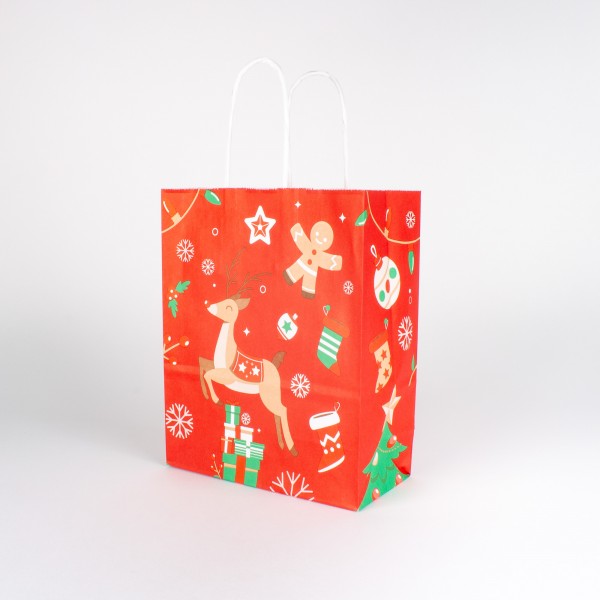 WILDSPITZE RUDI 180, carrier bag