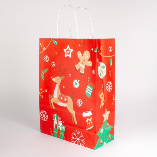 WILDSPITZE RUDI 220, Tragetasche